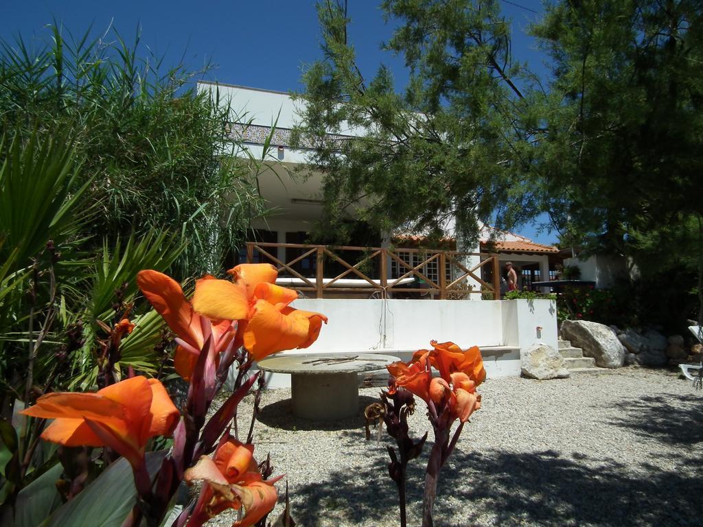 Da Silva Surfcamp Hostel Areia Branca Exterior foto